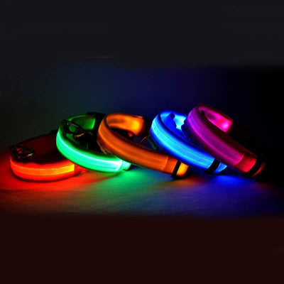 Collar LED Luminoso para Perros y Gatos - Recargable o a Batería