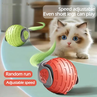 Pelota Eléctrica Automática para Gatos - Juguete Interactivo Recargable