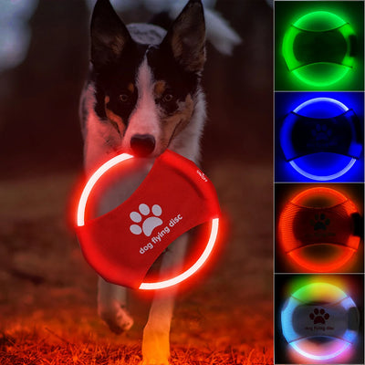 Frisbee LED Luminoso para Perros - Juguete Interactivo Recargable